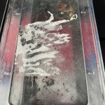 TJR Pest Control mouse in non kill trap